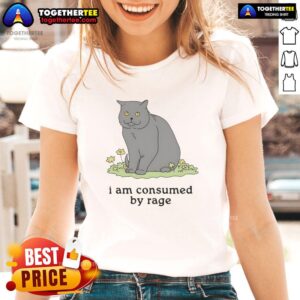 Good Cat I Am Consumed By Rage ladies tee featuring a playful cat graphic and bold text, perfect for cat lovers.