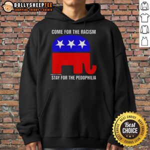 Awesome Republican hoodie with slogan 'Come for the Racism, Stay for the Pedophilia' in bold text.