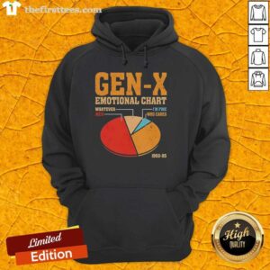 Vintage hoodie featuring the Top Gen X Emotional Chart 'Whatever Meh I'm Fine Who Cares' from 1960-85.