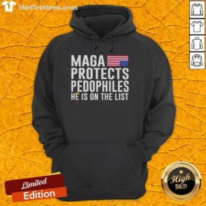 Pretty Maga hoodie featuring 'Protects Pedophiles - He Is On The List' design, perfect for political statement fashion.