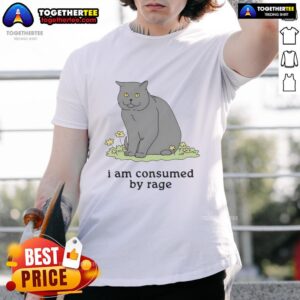 Good Cat I Am Consumed By Rage T-Shirt featuring a humorous cat graphic, perfect for cat lovers and funny t-shirt enthusiasts.