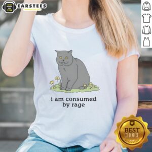 Premium Cat I Am Consumed By Rage Ladies Tee featuring a bold graphic design for cat lovers.