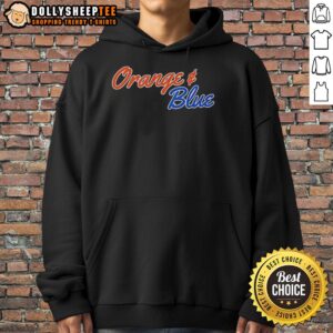 Awesome orange and blue Florida Gators hoodie displayed on a hanger, perfect for fans and game day attire.