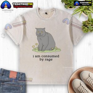 Good Cat I Am Consumed By Rage washed t-shirt featuring a playful cat graphic, perfect for cat lovers and casual wear.