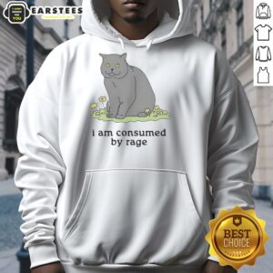 Premium Cat 'I Am Consumed By Rage' hoodie featuring a bold graphic design, perfect for cat lovers and stylish outfits.