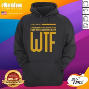 Cozy Pretty A Fact Of Life Hoodie displayed on a hanger, showcasing its stylish design and vibrant colors for casual wear.