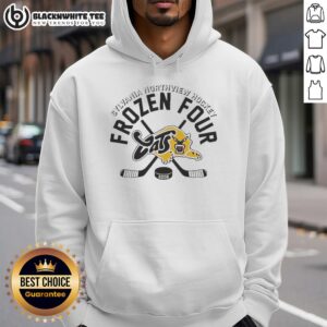 Good Sylvania Northview Hockey 2026 Frozen Four Cats hoodie featuring team colors and logo, perfect for fans.