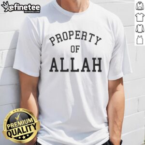 Alt Text: Awesome Austin Shooter Property Of Allah T-Shirt featuring bold graphic design and vibrant colors, perfect for casual wear.