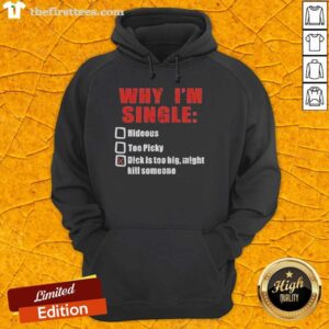 Premium hoodie with 'Why I'm Single' slogan, featuring humorous graphics about dating and personal preferences.