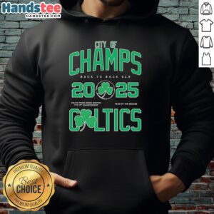 Premium Boston Celtics City Of Champs Back To Back SZN 2025 T-Shirt - Image 4