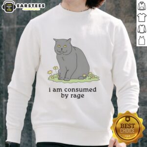 Premium Cat 'I Am Consumed By Rage' sweatshirt featuring a playful cat design, perfect for cat lovers and humor enthusiasts.