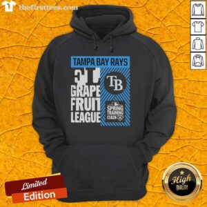 Original Tampa Bay Rays 2026 Spring Training hoodie in AZ-FL 25 True Icon design, perfect for fans.