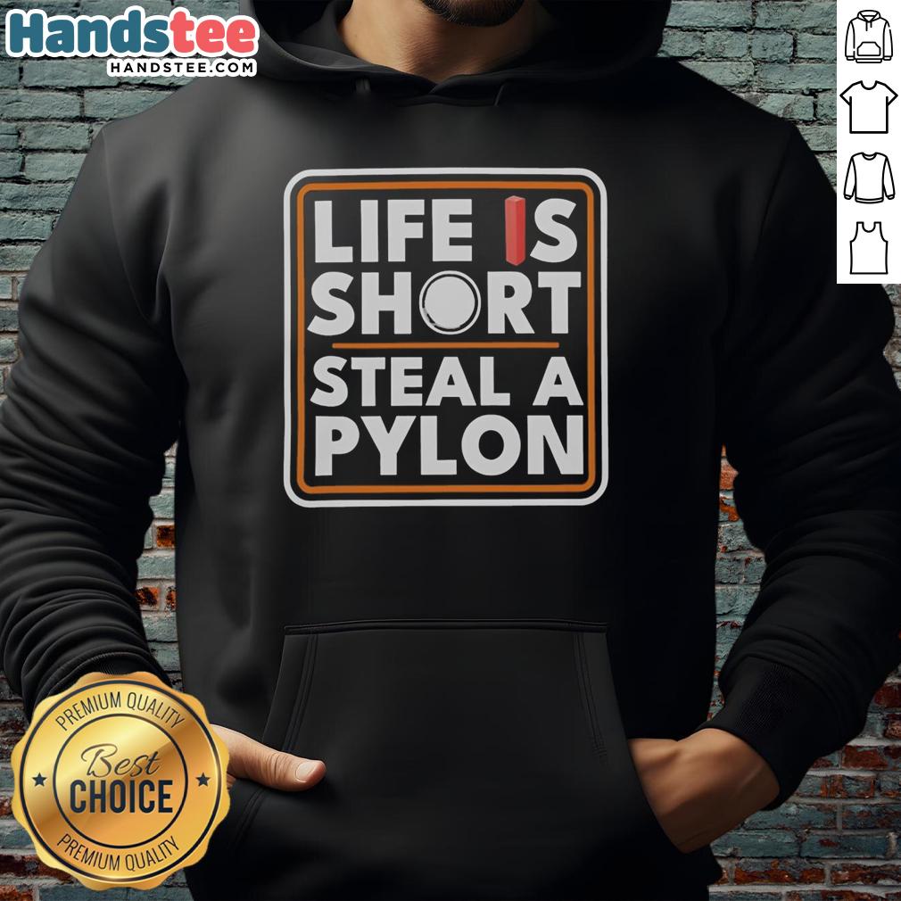 original-life-is-short-steal-a-pylon-hoodie Alt Text: Original Life Is Short Steal A Pylon Hoodie in vibrant colors, showcasing a trendy design perfect for casual wear.