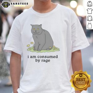 Premium Cat 'I Am Consumed By Rage' T-Shirt featuring a playful design for cat lovers and humor enthusiasts.