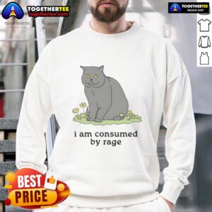 Good Cat I Am Consumed By Rage sweatshirt featuring a playful cat graphic, perfect for cat lovers and humor enthusiasts.