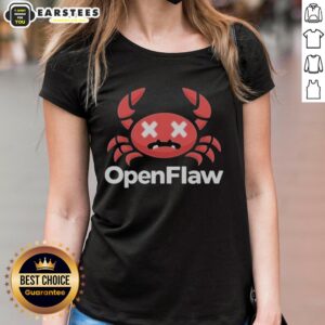 Good Openflaw Ladies Tee in vibrant colors, showcasing a stylish design perfect for casual wear.