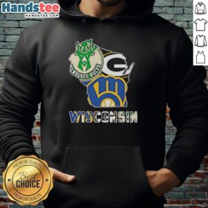 Premium Wisconsin sports teams graphic transfer state hoodie showcasing team pride and quality design.