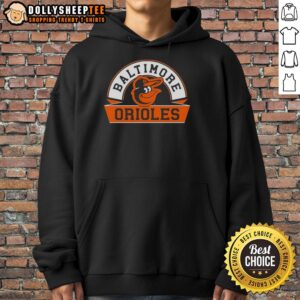 Awesome Baltimore Orioles Phase Banner Arch Hoodie featuring team colors and logo, perfect for fans and stylish comfort.