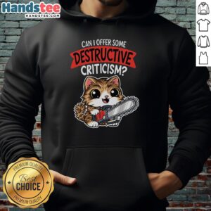 Cat hoodie with 'Can I Offer Some Destructive Criticism' text, featuring a cute cat design for pet lovers and humor fans.