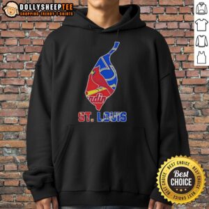 Nice St. Louis Sports Teams graphic on a cozy hoodie, perfect for fans supporting local teams.