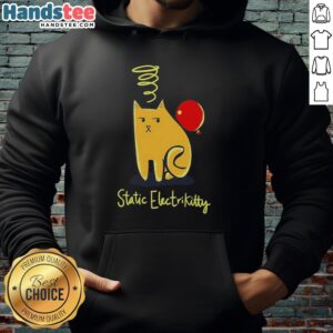 Official Cat Balloon Static Electricity Hoodie featuring a playful cat design and vibrant balloon graphics.