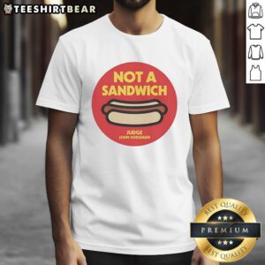 Awesome Not A Sandwich Judge John Hodgman Logo T-Shirt featuring a fun graphic design and vibrant colors.