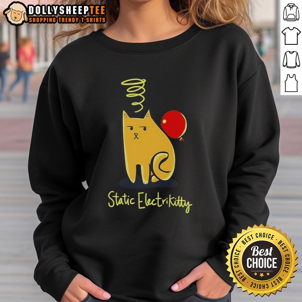 Awesome Cat Balloon Static Electricity Sweatshirt Cute sweatshirt featuring an awesome cat with a balloon, showcasing static electricity design. Perfect for cat lovers!