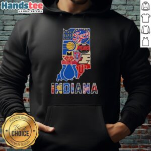 Official Indiana Sports Teams Graphic Transfer State Hoodie showcasing vibrant team logos and Indiana state design.