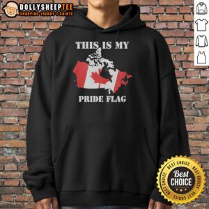 Original Canada Pride Flag retro hoodie featuring vibrant colors and bold design for LGBTQ+ celebration and fashion.
