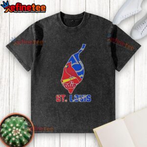 Pretty St. Louis sports teams graphic on a washed t-shirt, perfect for fans and casual wear enthusiasts.
