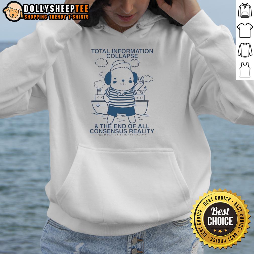 Good Total Information Collapse And The End Of All Consensus Reality Bear Hoodie
