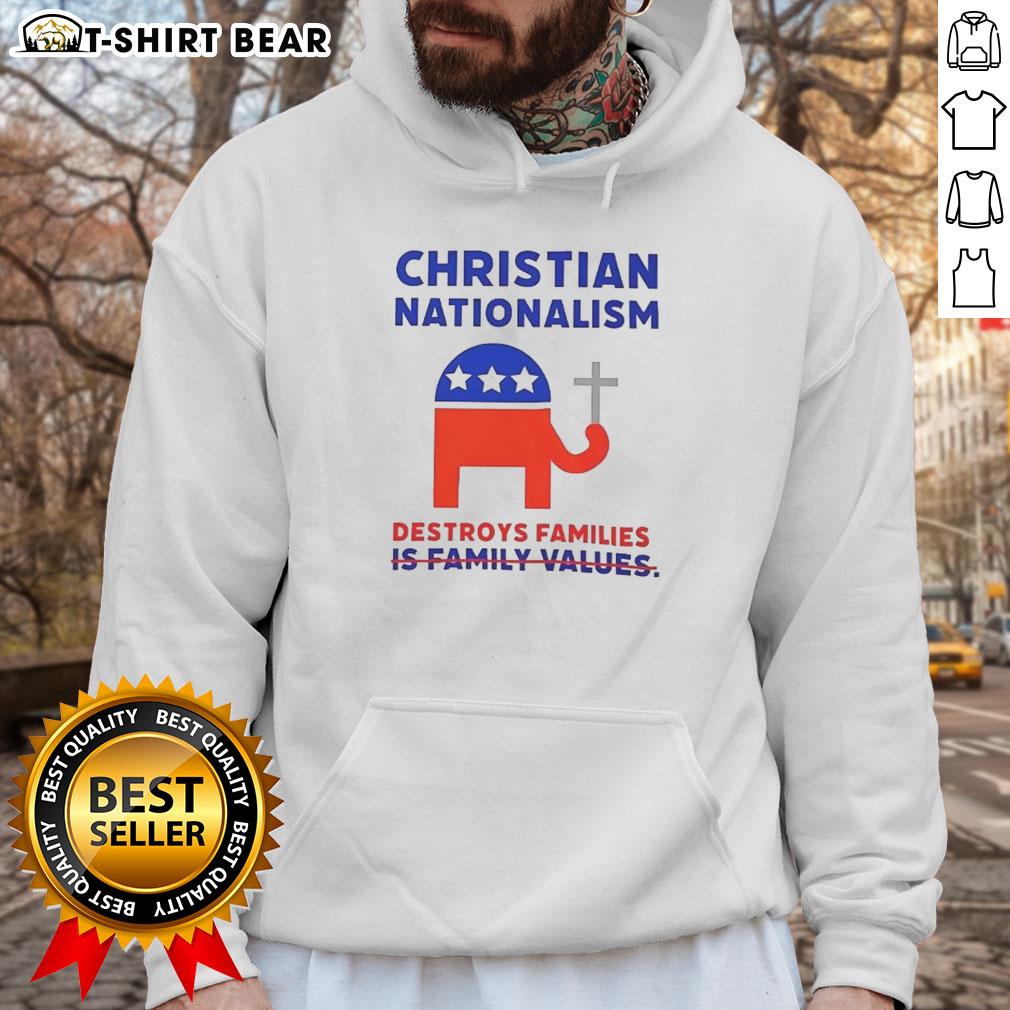 Nice Christian Nationalism Destroys Families Hoodie Person wearing a 'Nice Christian Nationalism Destroys Families' hoodie, promoting awareness of harmful ideologies.