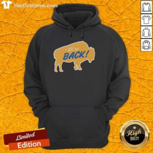 Nice We're Back Buffalo Sabres hoodie in blue featuring team logo and comfortable design for fans.