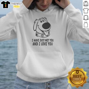 Adorable dog wearing 'Pretty Dog, I Just Met You and I Love You' hoodie, showcasing love for pets and stylish pet apparel.