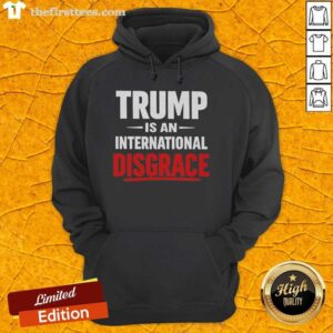 Alt Text: Pretty Trump is an International Disgrace hoodie featuring bold graphic design and vibrant colors for impactful statements.