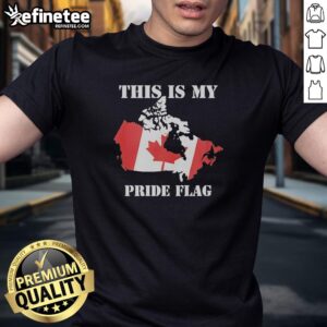 Retro This Is My Pride Flag Canada Flag T-Shirt featuring vibrant colors and a bold design for LGBTQ+ pride celebrations.