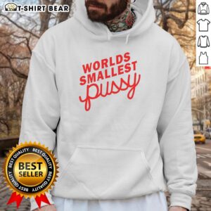 Awesome Worlds Smallest Pussy Italics Hoodie featuring a playful design and vibrant colors, perfect for casual wear.