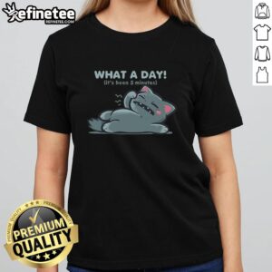 Nice What A Day It's Been 5 Minutes Ladies Tee featuring a stylish graphic design on a comfortable fit.