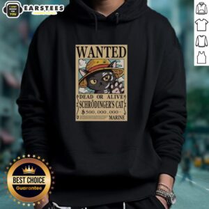 Alt Text: Nice Schrodinger Cat Pirate Hoodie featuring a playful cat design, perfect for fans of quirky science-themed apparel.
