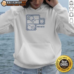 Funny math cat pun hoodie featuring 'Pretty Purr-imeter' design, perfect for cat lovers and math enthusiasts.