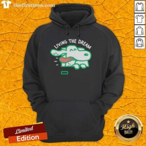 Happy dog with its head out the car window wearing a hoodie, embodying the spirit of good living and the dream.