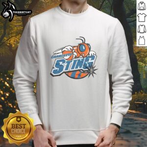 Nice Charlotte Sting 04 Sweatshirt featuring vibrant colors and stylish design, perfect for fans of the Charlotte Sting.