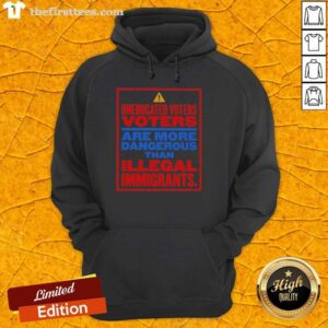 Nice Uneducated Voters Are More Dangerous Than Illegal Immigrants Hoodie showcasing a bold political statement.