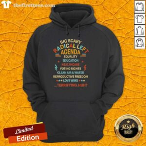 Nice Big Scary Radical Left Agenda hoodie featuring equality, education, and healthcare graphics for progressive fashion.