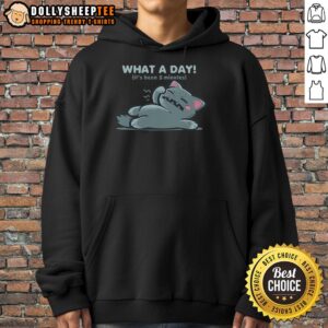Alt Text: Funny What A Day It's Been 5 Minutes Hoodie - Comfy hoodie featuring humorous text for casual wear.