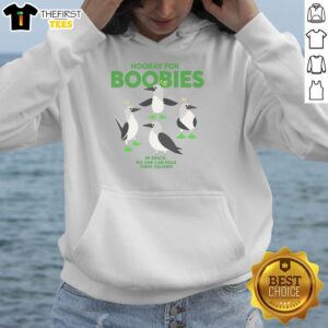 Good Hooray for Boobies in Space hoodie featuring a playful graphic and vibrant colors, perfect for space enthusiasts.