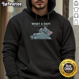 Cozy hoodie with 'Nice, What a Day It's Been' graphic, perfect for casual wear and comfort on relaxed days.
