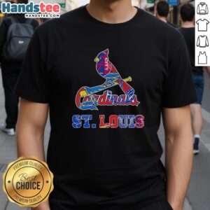 Alt Text: St. Louis Cardinals, Blues, City SC, and Battlehawks logo mashup t-shirt design showcasing St. Louis sports pride.