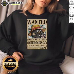 Cozy Nice Schrdinger Cat Pirate Sweatshirt featuring a playful cat design, perfect for science and cat lovers.