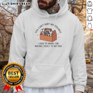 Top You Can't Hurt My Feelings Dad Hoodie in stylish design, perfect for casual wear and expressing dad humor.